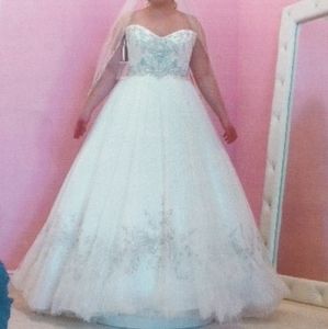 Wedding dress and viel